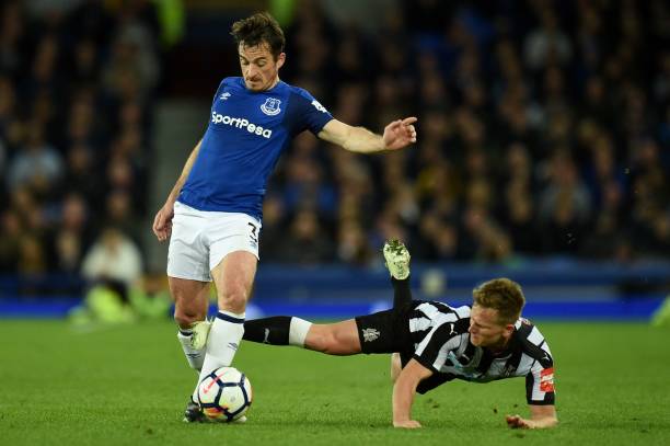 体阵容的影 体阵容的影