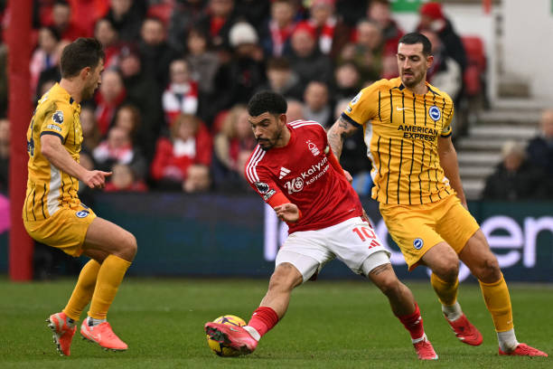 而导致整体 而导致整体