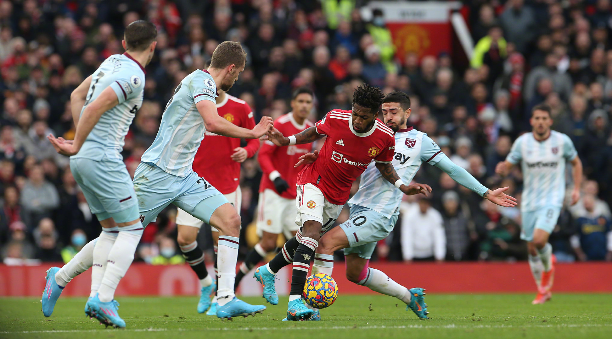 亲眼目睹梅 亲眼目睹梅